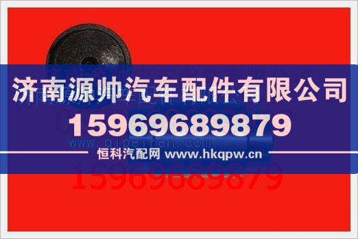 重汽豪沃制动蹄支销WG1259N274/WG1259N274