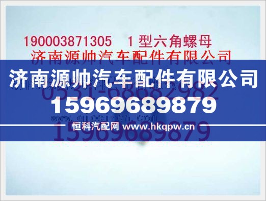 重汽豪沃1型六角螺母190003871305图1