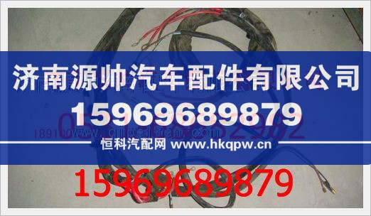 重汽豪沃发动机线束189100770095/189100770095