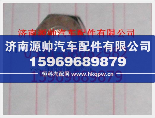 190003559509,重汽豪沃管接头用螺母190003559509,济南源帅汽车配件有限公司