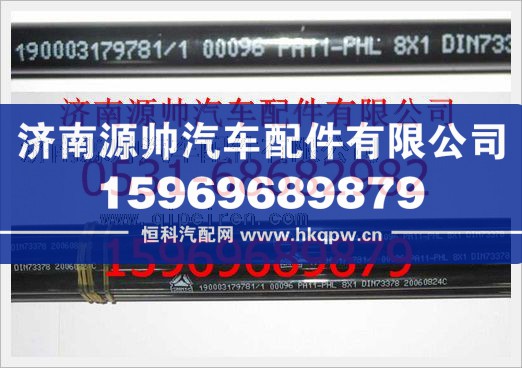 重汽豪沃聚酰胺管190003179781/190003179781