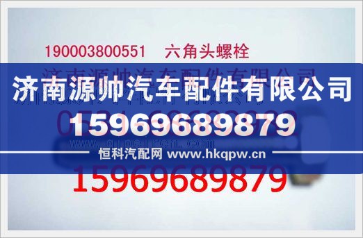 重汽豪沃六角头螺栓190003800551图1