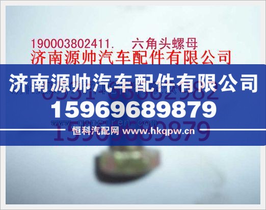重汽豪沃六角头螺栓190003802411图1