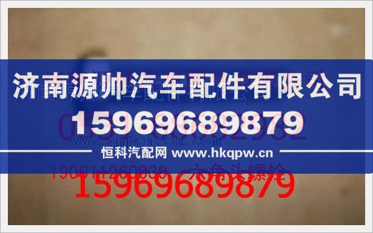重汽豪沃六角头螺栓190011260039/190011260039