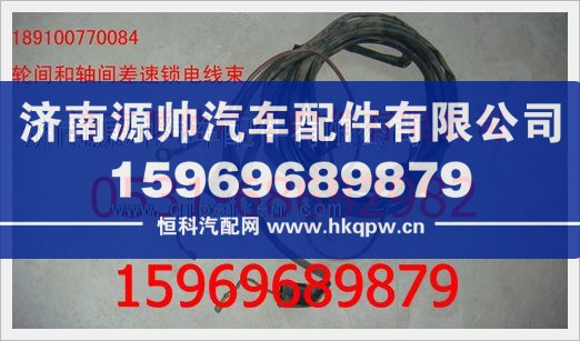 重汽豪沃轮差和轴差电线束189100770084/189100770084