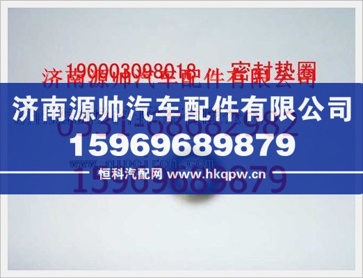 重汽豪沃密封垫圈190003098018/190003098018