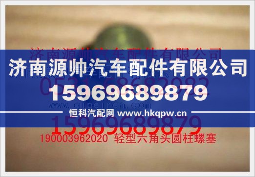 重汽豪沃轻型六角头园柱螺塞190003962020/190003962020