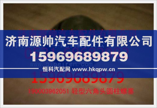 重汽豪沃轻型六角头园柱螺塞190003962051/190003962051