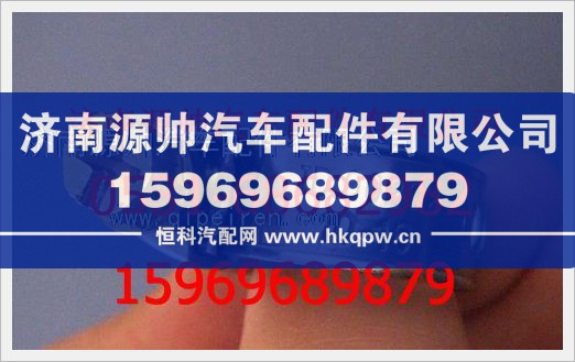 重汽豪沃软管卡箍190003989300/190003989300