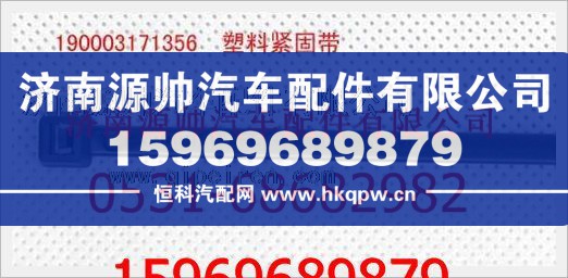重汽豪沃塑料紧固带190003171356/190003171356