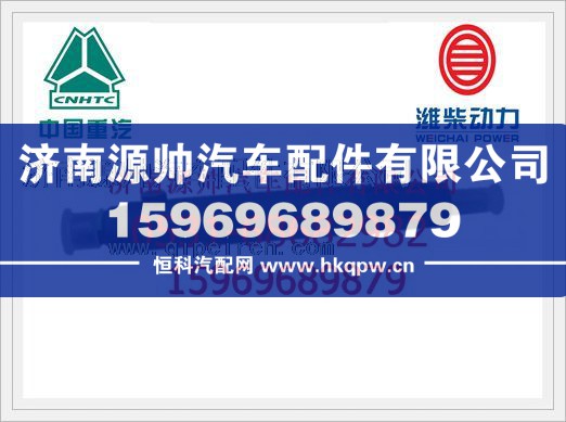 潍柴WD615发动机喷油器总成61560080305/61560080305