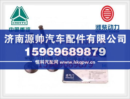 612600050073,潍柴WD615斯太尔进气门612600050073,济南源帅汽车配件有限公司