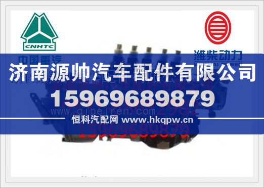 潍柴WP10发动机共轨喷油泵612600080674