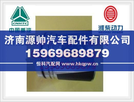 潍柴WP10欧Ⅱ发动机发动机活塞612600030034/612600030034