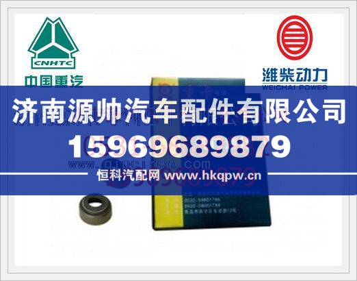潍柴WP10欧Ⅱ气门油封612600040114/612600040114