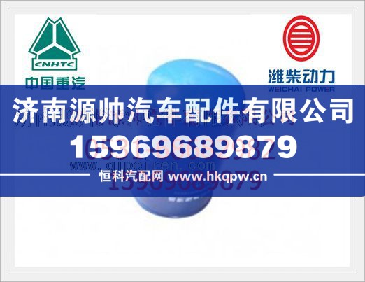 潍柴WP12机油滤芯612630010239/612630010239