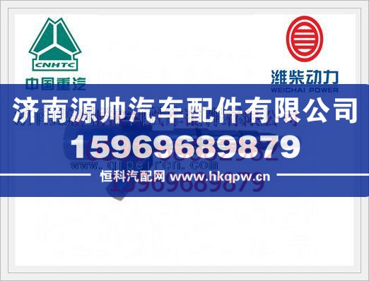 潍柴发动机喷油器总成612600080611/612600080611