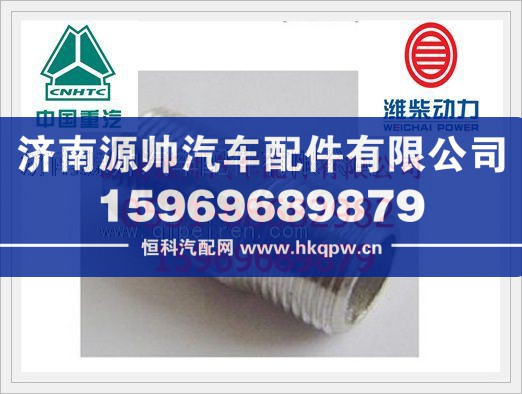 612600060174,潍柴管接头组件612600060174,济南源帅汽车配件有限公司