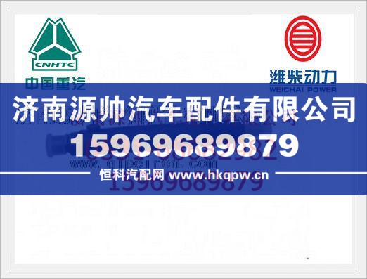 61560080276,潍柴喷油器总成61560080276,济南源帅汽车配件有限公司