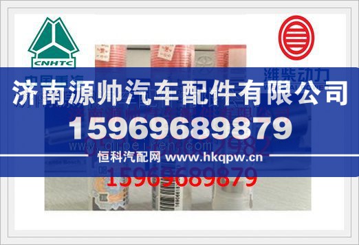 潍柴喷油嘴F019 121 217/F019 121 217
