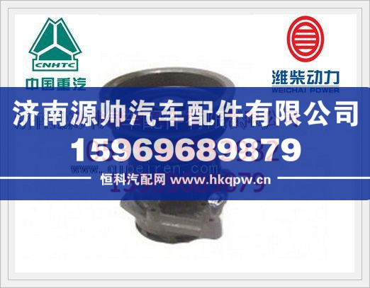 重汽D10发动机发动机水泵VG1500060051/VG1500060051