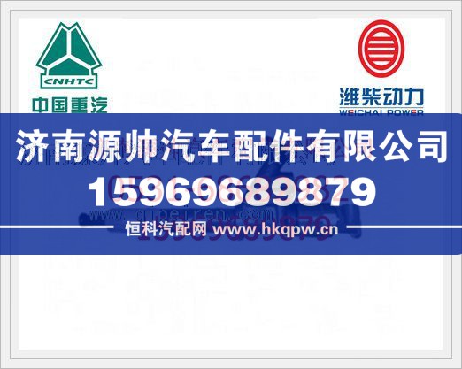 重汽D10发动机喷油器总成VG1096080010/VG1096080010