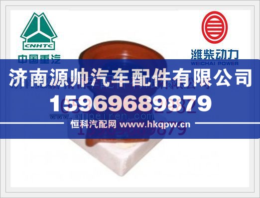 重汽D10发动机水泵VG1500060051/VG1500060051