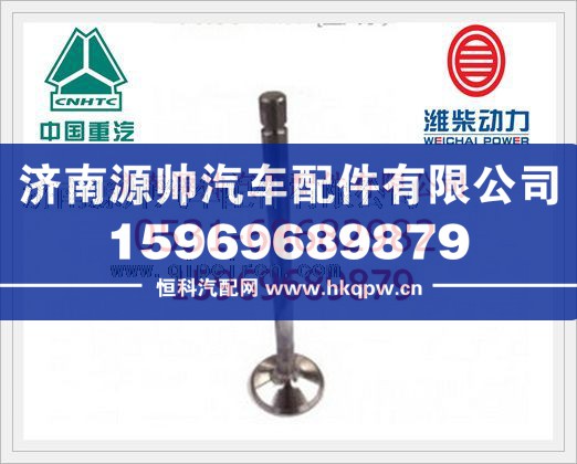 重汽D10排气门VG1540050014图1