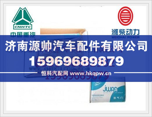 重汽D10排气门VG1560050041图1