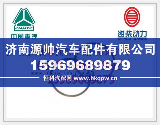 重汽D12排气管密封环VG1246110027/VG1246110027