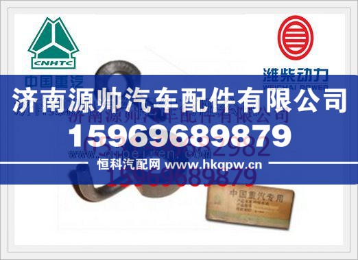 重汽D12喷嘴组件总成VG1246010049/VG1246010049