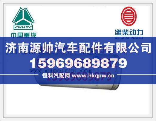 重汽WD615发动机柴油滤清器VG1560080012
