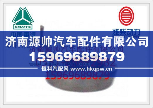 重汽WD615发动机喷嘴组件612600010659图1