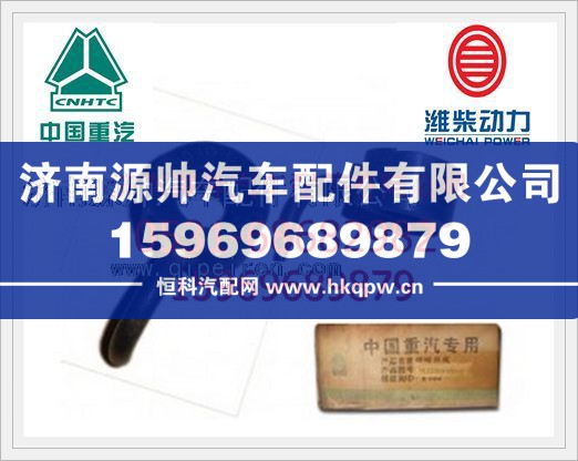 VG1560019090/2,重汽WD615发动机喷嘴组件VG1560019090/2,济南源帅汽车配件有限公司