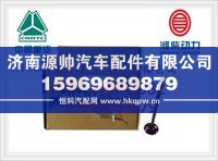 重汽WD615进气门VG1540050015