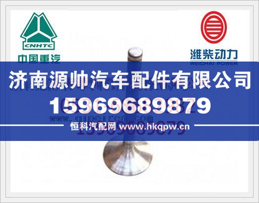 重汽WD615排气门VG1560050027/VG1560050027