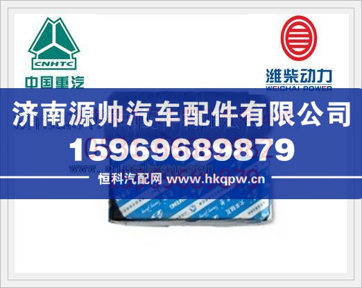 重汽WD615凸轮轴衬套612600010990/0029/612600010990/0029