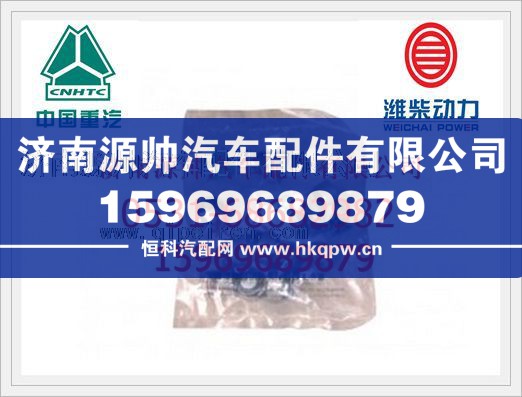 重汽WP10欧Ⅱ气门油封612600040114/612600040114
