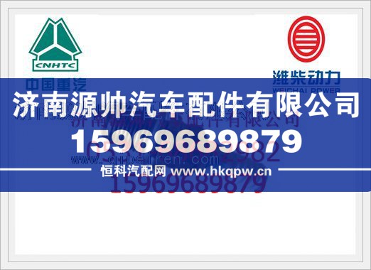 重汽WT615天然气发动机火花塞VG1560080701图1