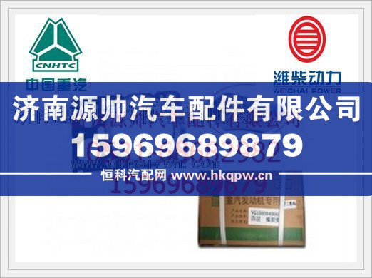 重汽发动机气缸垫(E012 带胶圈VG1500040065/VG1500040065