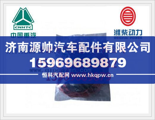 重汽国Ⅲ EGR动机O型圈1562165-1/1562165-1