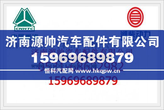重汽喷油器总成VG1557080016/VG1557080016
