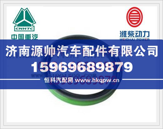 重汽曲轴后油封201V01510-0283/201V01510-0283