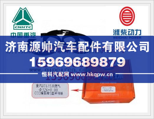 重汽天然气T10活塞环VG1540030011/VG1540030011