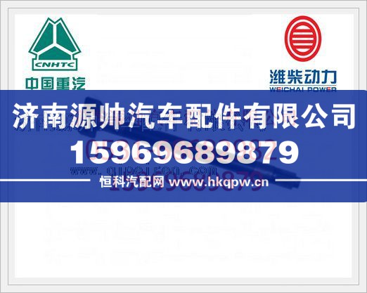 重汽制动凸轮轴(左)WG9231340226图1