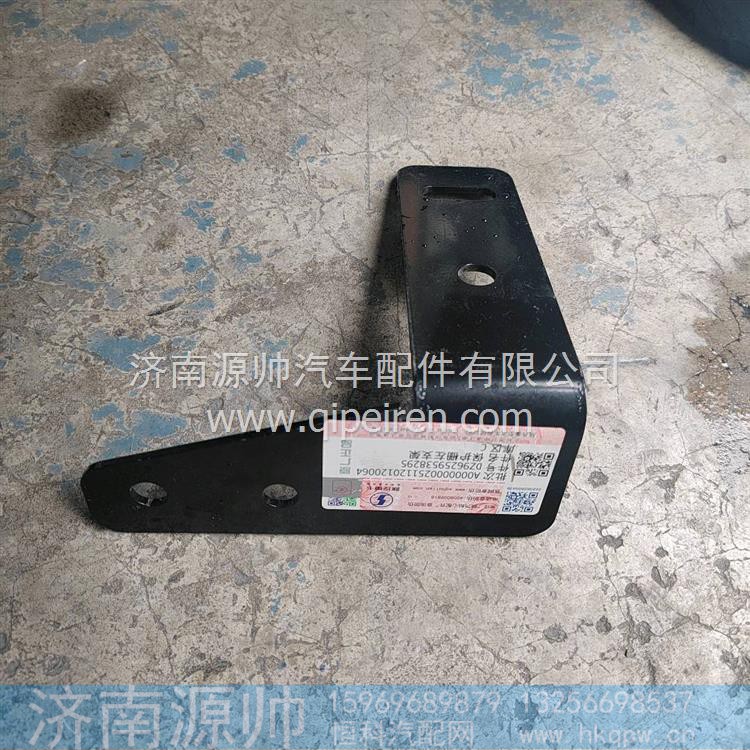 保护珊左支架 DZ96259538295