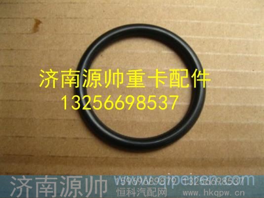 AZ9003079006,,济南源帅汽车配件有限公司