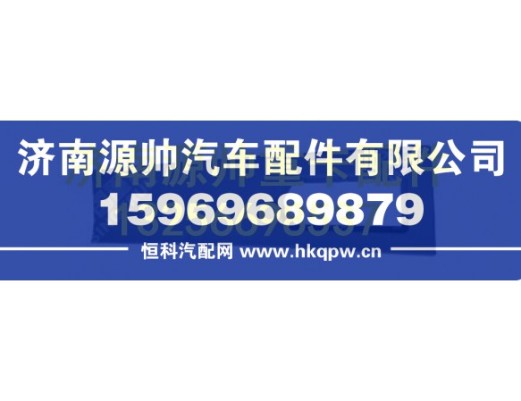 重汽豪瀚右下侧后导流板总成 WG1682870004图1
