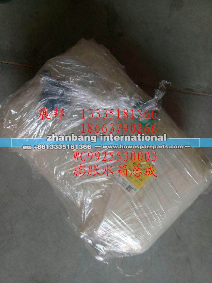 膨胀水箱总成