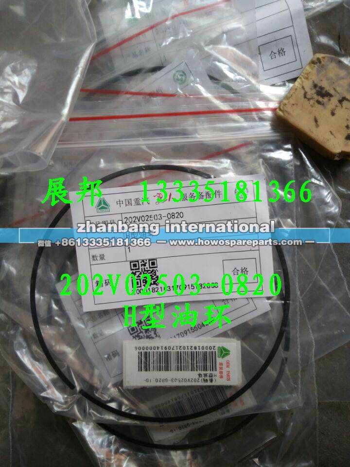 202V02503-0820,H型油環(huán),濟(jì)南冠澤卡車配件營(yíng)銷中心